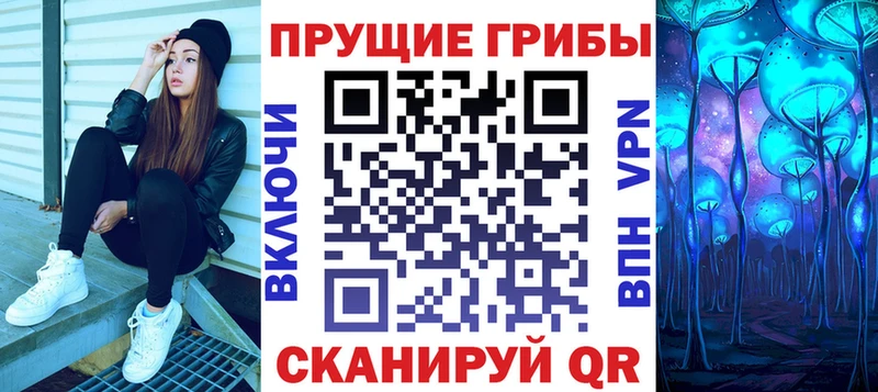 где купить наркоту Усть-Кут Галлюциногенные грибы Psilocybe